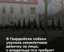 В Гвардейском районе суд рассмотрит иск о компенсации морального вреда девочке, пострадавшей от укуса собаки