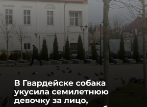 В Гвардейском районе суд рассмотрит иск о компенсации морального вреда девочке, пострадавшей от укуса собаки