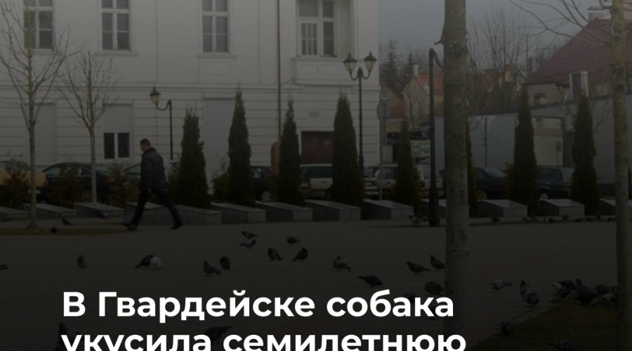 В Гвардейском районе суд рассмотрит иск о компенсации морального вреда девочке, пострадавшей от укуса собаки