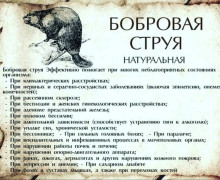 Струя бобра и жир барсучий продам