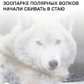 problem