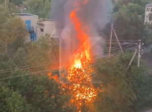 В Гвардейске вечером 8 июня произошел пожар в заброшенных сараях на улице 9 Мая