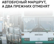 В Калининграде с 29 августа запустят новый маршрут, два старых отменят