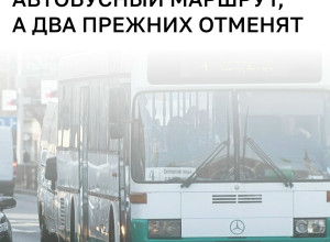 В Калининграде с 29 августа запустят новый маршрут, два старых отменят