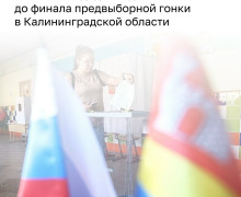 В Калининградской области 257 кандидатов выбыли из избирательной кампании