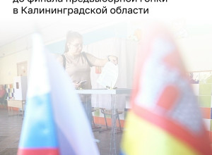 В Калининградской области 257 кандидатов выбыли из избирательной кампании