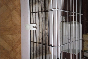 Продам всё что на фото