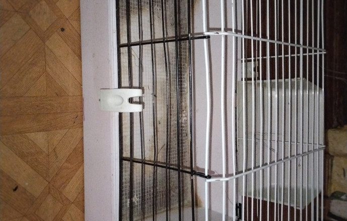 Продам всё что на фото