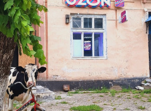 Житель посёлка Ясное приехал за заказом на велосипеде