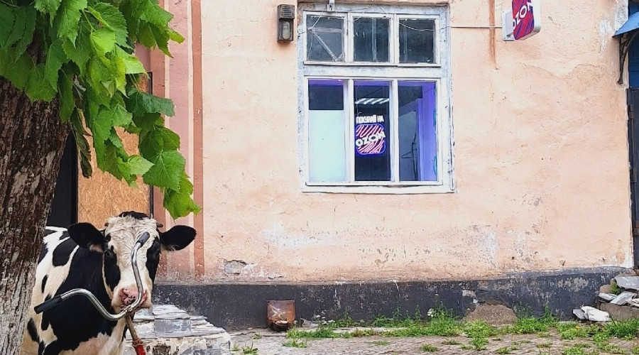 Житель посёлка Ясное приехал за заказом на велосипеде