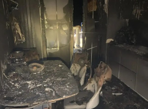 В Зеленоградске на улице Гагарина произошел пожар в квартире