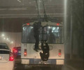 В Калининграде участились случаи зацепинга на городском электротранспорте