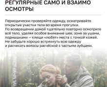 С начала года более 4 тысяч жителей Калининградской области обратились к врачам из-за укусов клещей