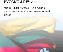 В Литве ужесточат требования к знанию литовского языка для иностранцев и сократят использование русского в образовании и госуслугах