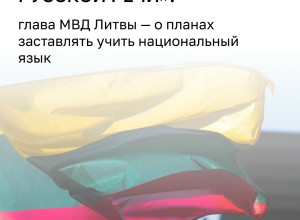 В Литве ужесточат требования к знанию литовского языка для иностранцев и сократят использование русского в образовании и госуслугах