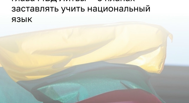 В Литве ужесточат требования к знанию литовского языка для иностранцев и сократят использование русского в образовании и госуслугах