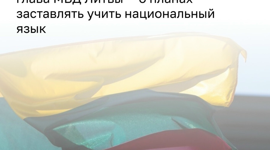 В Литве ужесточат требования к знанию литовского языка для иностранцев и сократят использование русского в образовании и госуслугах