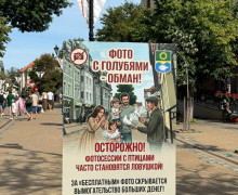 В Зеленоградске установили баннеры с предупреждением о платных фото с голубями