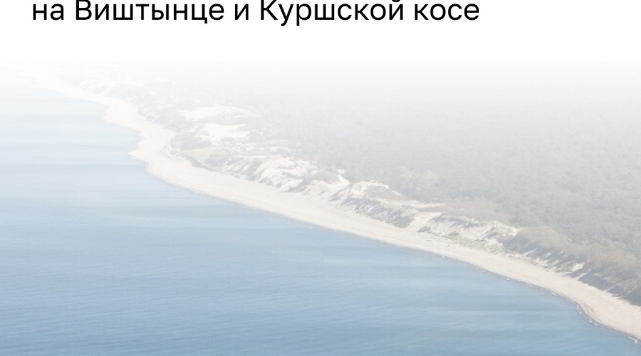 В майские праздники разрешено посещение парков с целью экологического туризма