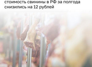 Стоимость свинины в России снизилась на 2% с начала года
