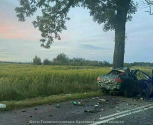 Под Черняховском в ДТП погиб 21-летний Глеб Кулажин: семья ищет свидетелей аварии
