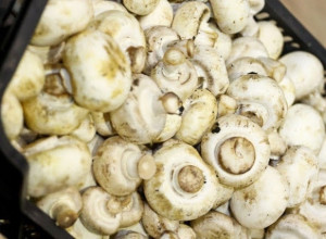 В Калининградскую область за восемь месяцев ввезли более 350 тонн белорусских шампиньонов