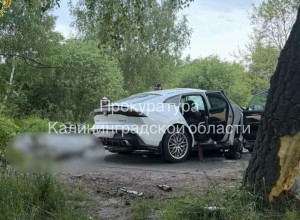 Авария под Светлым: автомобиль, в котором погибли водитель и пассажирка, был технически исправен
