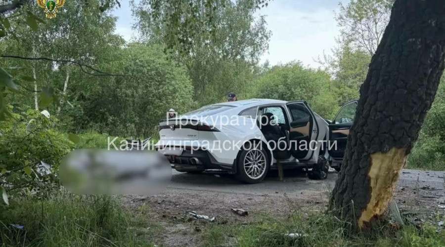 Авария под Светлым: автомобиль, в котором погибли водитель и пассажирка, был технически исправен