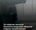 За неделю 13 жителей Калининградской области пострадали от действий мошенников