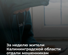 За неделю 13 жителей Калининградской области пострадали от действий мошенников
