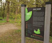 Калининград присоединился к Всероссийскому субботнику: в городских парках высадили новые пихты