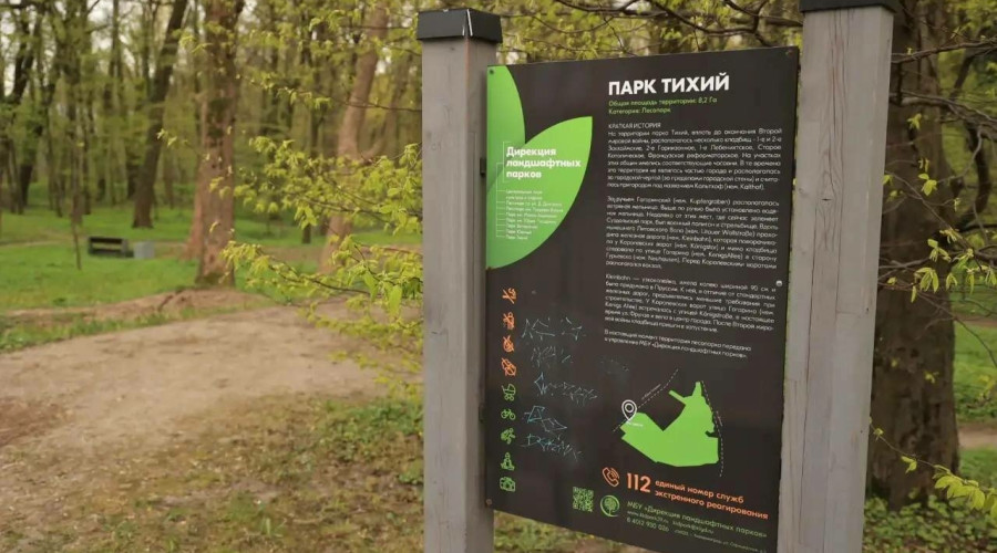 Калининград присоединился к Всероссийскому субботнику: в городских парках высадили новые пихты