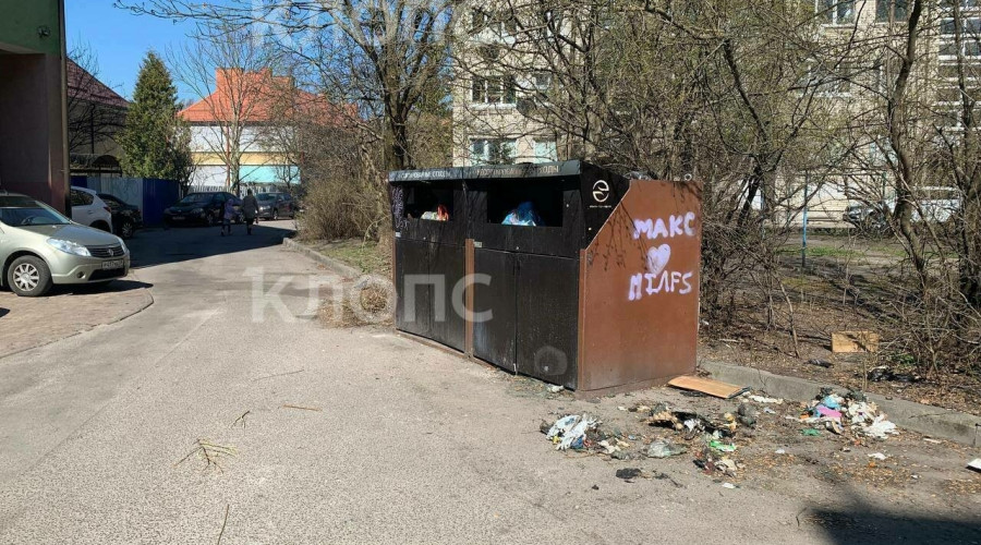 Контейнерная площадка на проезде улицы Леонова вызывает недовольство жителей