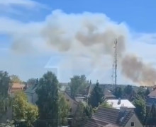 На окраине Калининграда зафиксировано возгорание сухого камыша