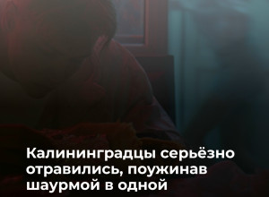 Пара из Калининграда отравилась шаурмой в заведении общепита