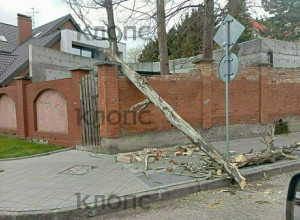 Штормовой ветер в Калининграде и области повалил деревья и повредил строения