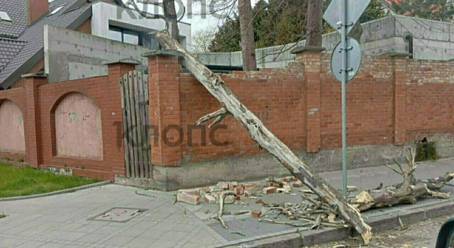 Штормовой ветер в Калининграде и области повалил деревья и повредил строения