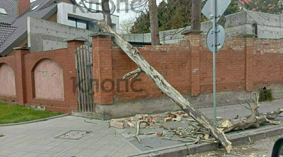 Штормовой ветер в Калининграде и области повалил деревья и повредил строения