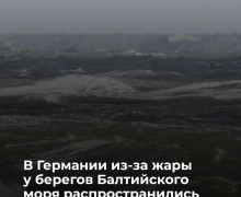 На курортах Балтийского моря и озёрах северной Германии зафиксировано цветение сине-зелёных водорослей