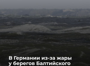 На курортах Балтийского моря и озёрах северной Германии зафиксировано цветение сине-зелёных водорослей