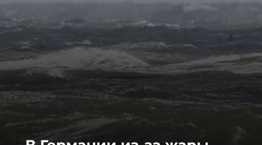 На курортах Балтийского моря и озёрах северной Германии зафиксировано цветение сине-зелёных водорослей