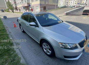 В Калининграде автомобиль сбил 11-летнего велосипедиста, выехавшего со двора