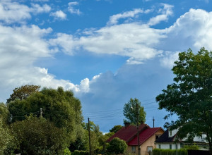 По пути в Неманский лес