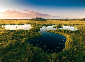 Рассвет, который прячется в воде