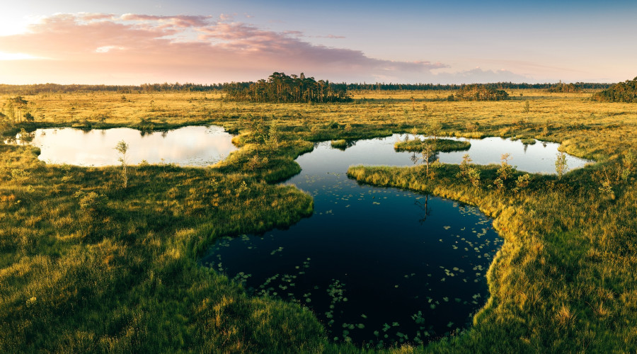 Рассвет, который прячется в воде