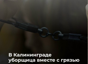 В Калининграде бывшую сотрудницу клининга подозревают в краже украшений на 420 тысяч рублей