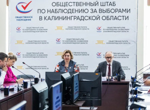Наблюдатели, ДЭГ и активность кандидатов: подробности выборов в Калининградской области
