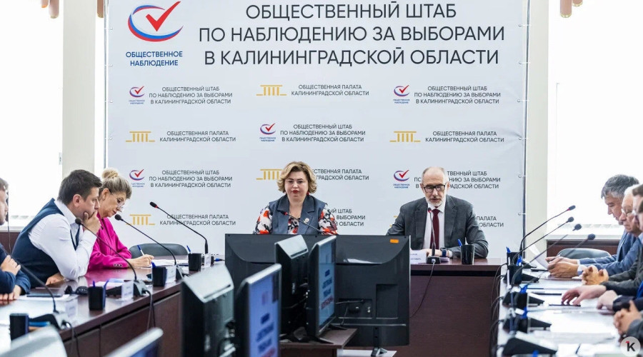 Наблюдатели, ДЭГ и активность кандидатов: подробности выборов в Калининградской области