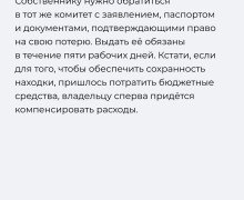 В Калининграде утвердили регламент обращения с находками на улицах