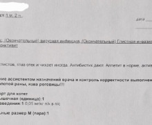 «Порой казалось, что котёнок обречён»: калининградка спасла найденного у «Котофейни» в Зеленоградске малыша